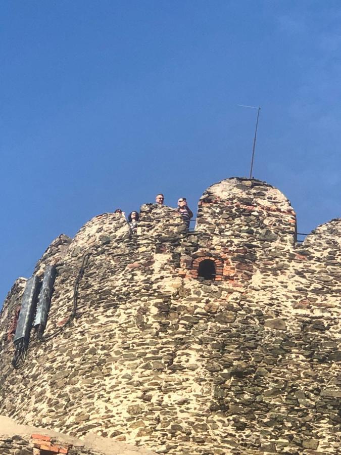 U Wlochow Rozanka Kolo Miedzylesia Przyjazny Zwierzetom Domowym *