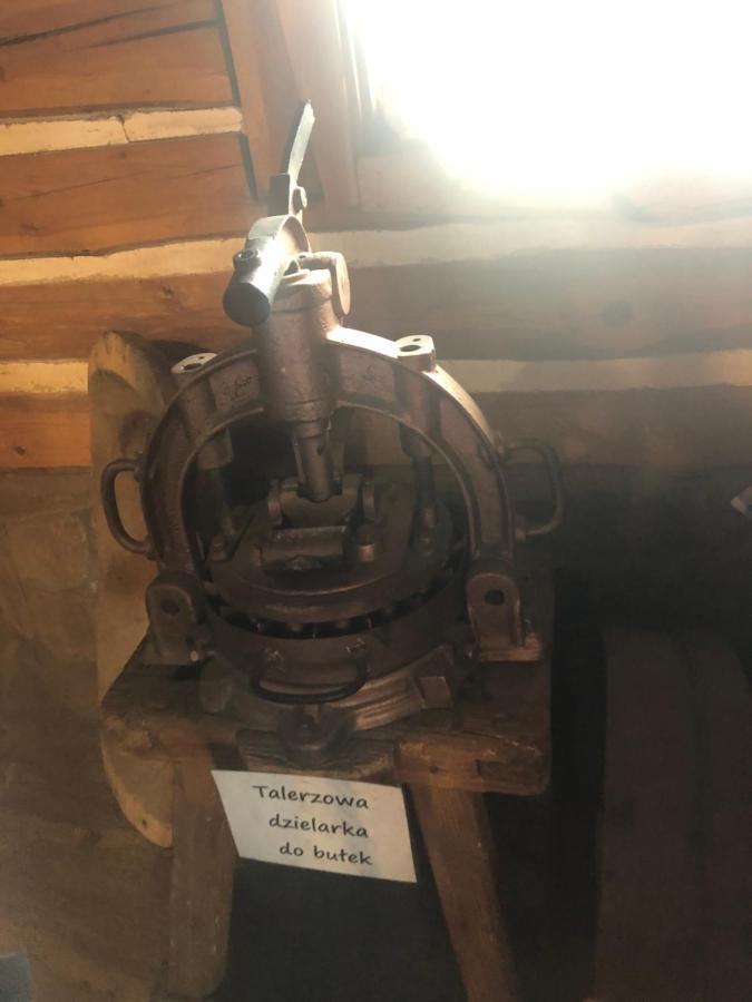 U Wlochow Rozanka Kolo Miedzylesia Przyjazny Zwierzetom Domowym Homestay *