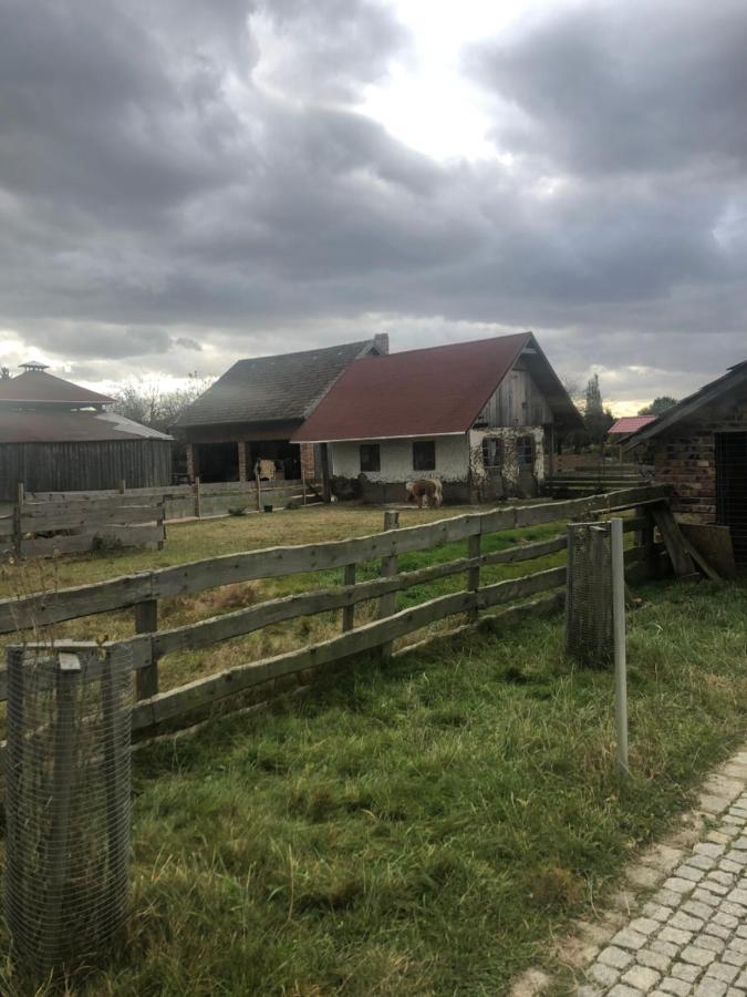 U Wlochow Rozanka Kolo Miedzylesia Przyjazny Zwierzetom Domowym Homestay Miedzylesie (Silesia)