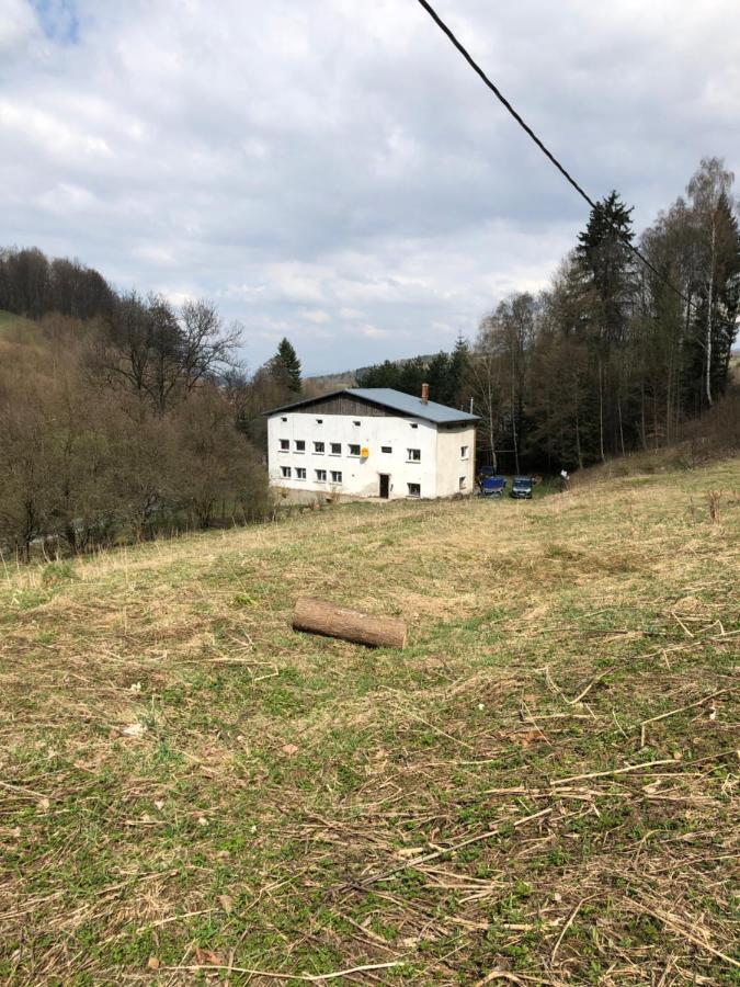 U Wlochow Rozanka Kolo Miedzylesia Przyjazny Zwierzetom Domowym