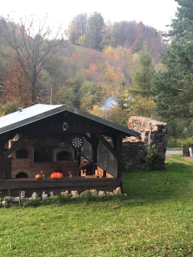 Homestay U Wlochow Rozanka Kolo Miedzylesia Przyjazny Zwierzetom Domowym *